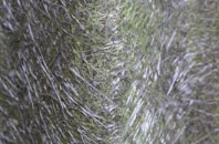 Nunnykirk fibreglass roof work